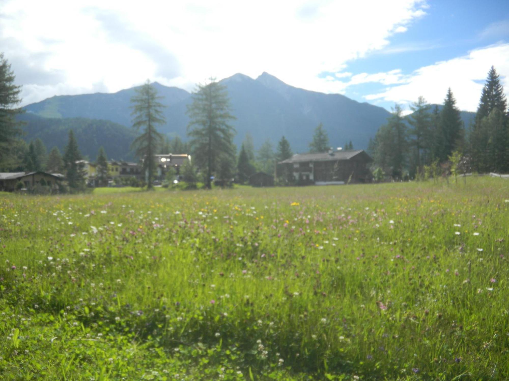Landhaus Charlotte Am Geigenbuehel -Apartments Seefeld in Tirol Exterior photo